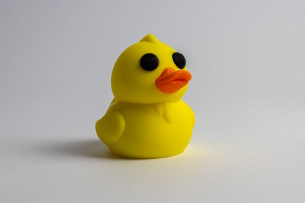 Duck Keychains